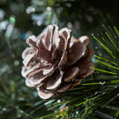12 ft. Pre-Lit LED Sparkling Amelia Frosted Pine Artificial Christmas Tree