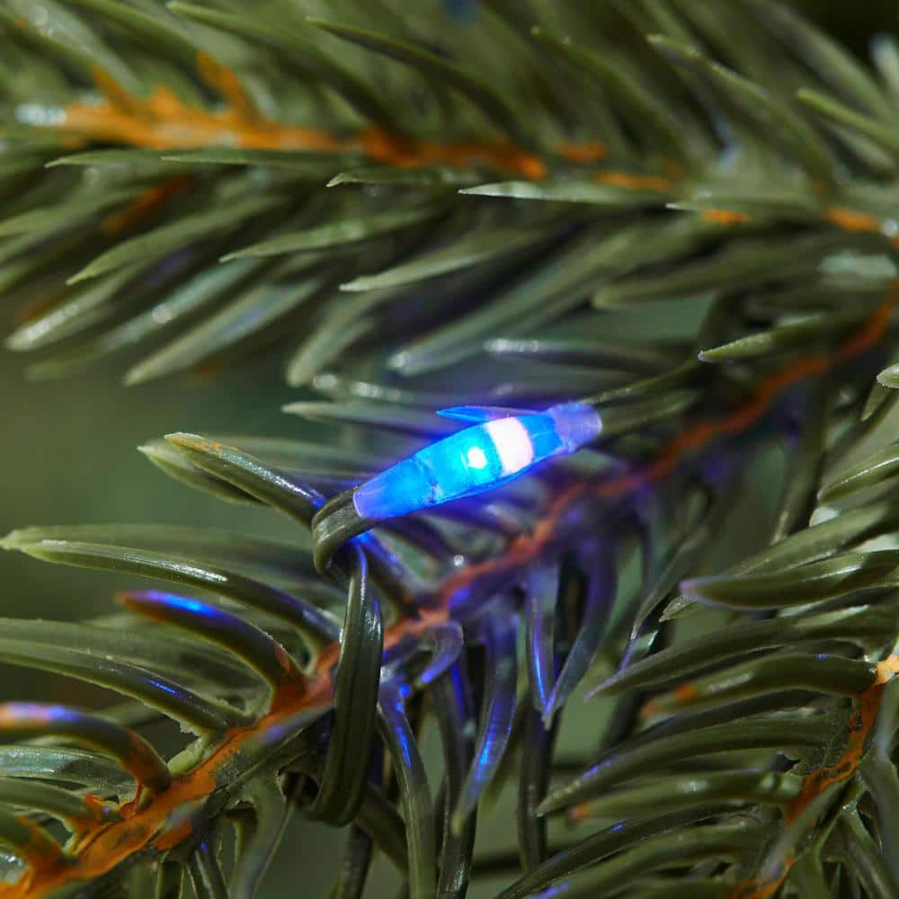 12 ft. Pre-Lit LED Jackson Noble Fir Artificial Christmas Tree