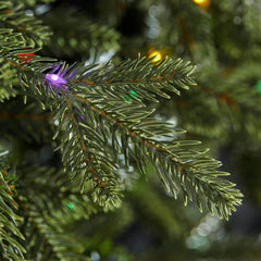 12 ft. Pre-Lit LED Jackson Noble Fir Artificial Christmas Tree
